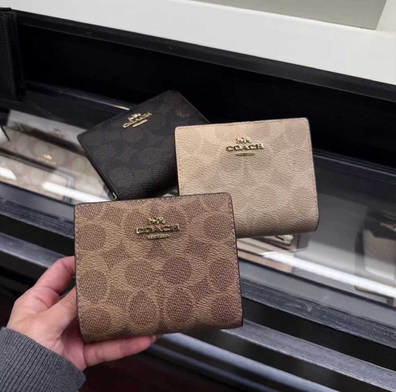 Coach wallet