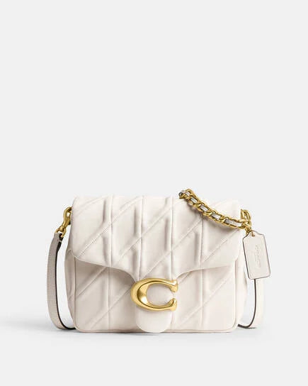 Coach 20×17×6.5