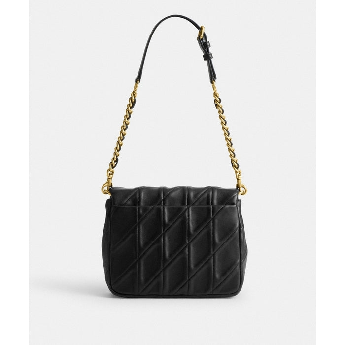 Coach 20×17×6.5