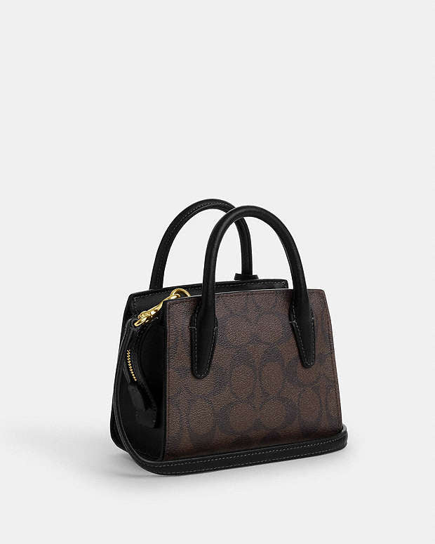 Coach Andrea Mini Carryall In Signature Canvas