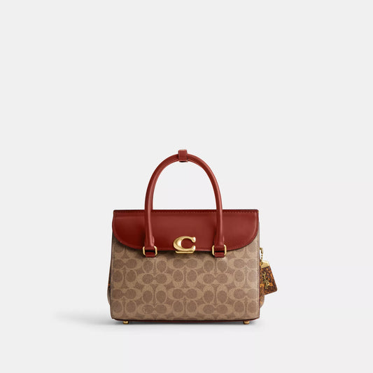 Coach Broome Carryall 


26×19.5×11.5